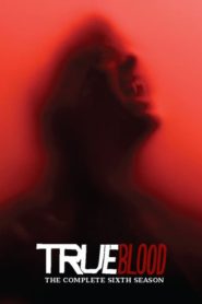 True Blood: Season 6