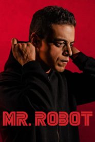 Mr. Robot tvseries download dual audio