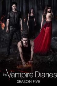 The Vampire Diaries: Season 5