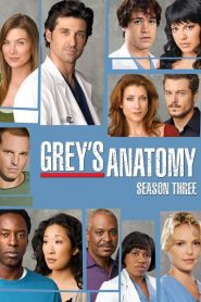 Grey’s Anatomy: Season 3