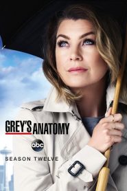 Grey’s Anatomy: Season 12