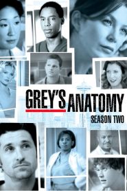 Grey’s Anatomy: Season 2