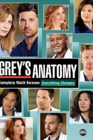 Grey’s Anatomy: Season 9