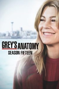 Grey’s Anatomy: Season 15