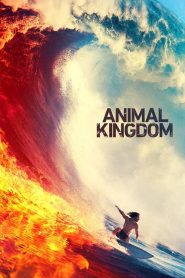 Animal Kingdom download | toxicwap