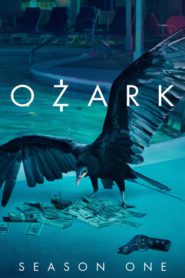 Ozark: Season 1